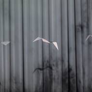 Snímek z choreografie 4 Seasons.