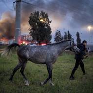 Jen od půlnoci z neděle na pondělí Írán vypálil na Izrael čtyři salvy raket, podle deníku Times of Israel byl kvůli tomu jeden člověk zraněný.
(Muž evakuuje svého koně v blízkosti místa, kam dopadly íránské rakety, střední Izrael, 13. března.)