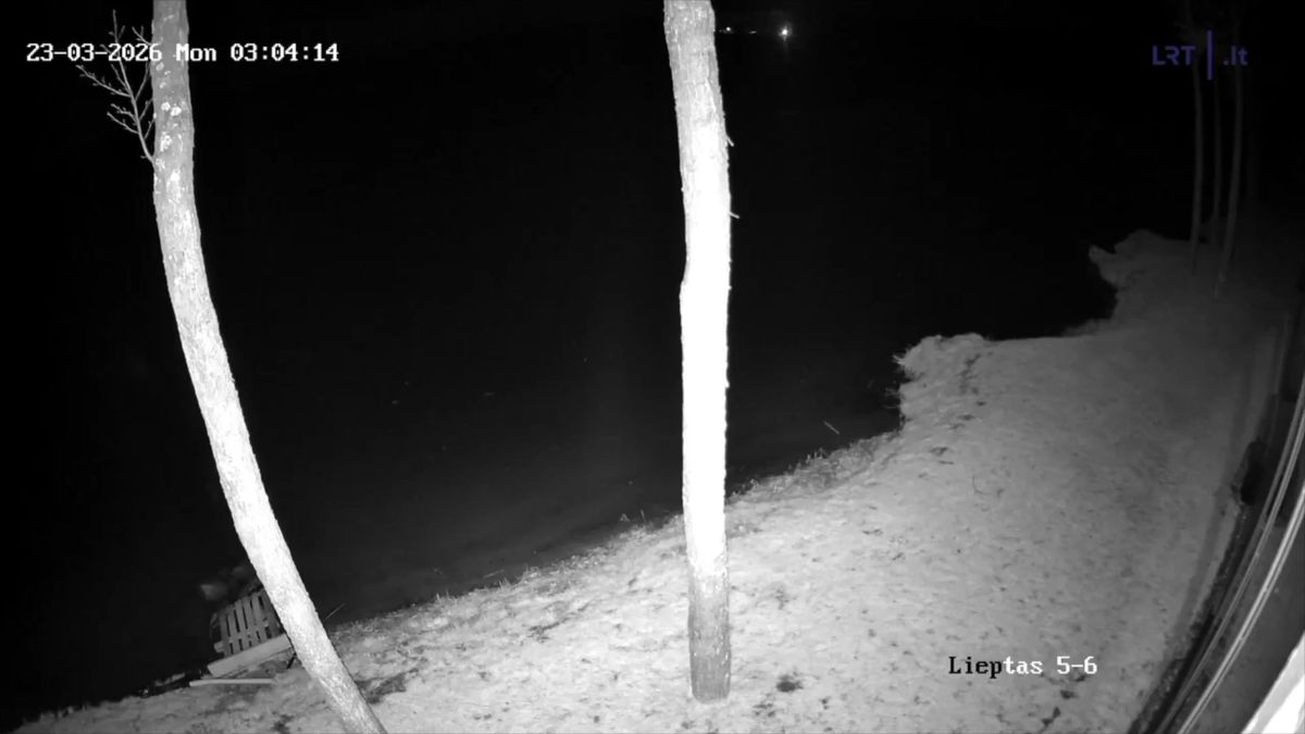 Video: V Litvě se zřítil ukrajinský dron