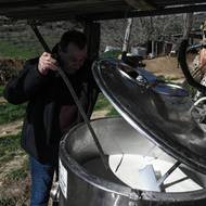 Postižení farmáři dostávají kompenzace ve výši 132 až 220 eur za vybitou ovci v závislosti na jejich věku. Farmáři na to reagují tím, že tyto platby zdaleka nestačí na pokrytí ztrát.