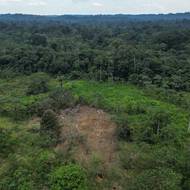 Ekvádorské ministerstvo vnitra řeklo agentuře AFP, že útok z 6. března se připravoval měsíce a jeho cílem byl tábor guerillové skupiny Border Commandos.

(Letecký pohled na škody způsobené bombou svrženou ekvádorskou armádou v oblasti Lago Agrio v provincii Sucumbios v Ekvádoru, na hranicích s Kolumbií, vyfoceno 18. března.)
