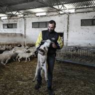 Řecká vláda čelí kritice za svou pomalou reakci na vypuknutí nákazy. Národní vědecký výbor pro řízení a kontrolu ovčích a kozích neštovic byl zřízen teprve koncem loňského října, tedy celých 14 měsíců po zjištění prvního případu. 