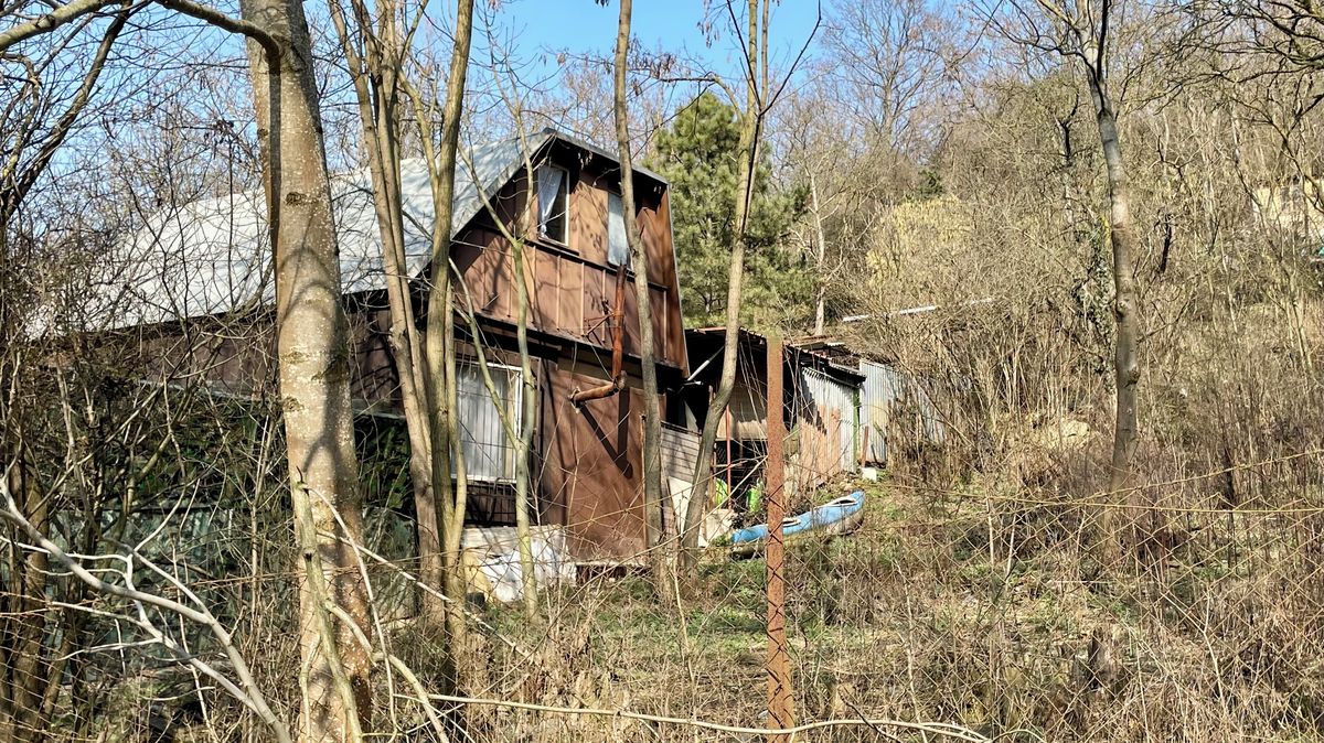 Pitbulí „farma“ u bytovek skončí. Sousedé roky upozorňovali na problémy