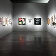 Hit by News, DOX, výstava, 2026