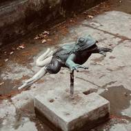 Detail žáby-chrliče. Současní majitelé hledají dvě, které kdosi odcizil v 90. letech.