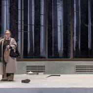 Filip Kaňkovský jako Jørgen, Veronika Janků coby Juliana a Pavla Beretová v roli Hedy.