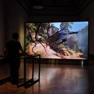 Na fotografii je Rahalova interaktivní AI simulace nazvaná Atithi z roku 2025.