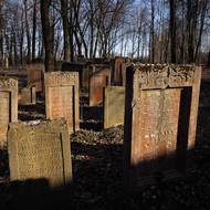 Za druhé světové války byl hřbitov systematicky zničen. Němci vyrvali náhrobky a spolu s cihlami ze synagogy jimi dláždili tržiště. Po roce 1945 chátral dál, náhrobky byly rozkrádány a používány na cesty a dvory. Na místě přežilo asi šedesát matzevot - náhrobních kamenů.