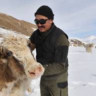 Akmatovovi si cení bio mléka a masa a říkají, že jačí bílá vlna je pevná a snadno se barví.
