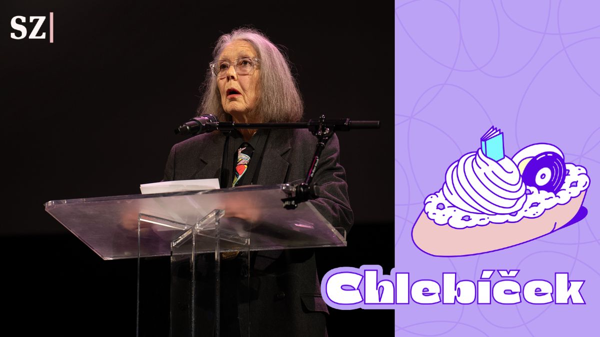 Nejlepší román o dospívání je ve verších. Konečně vyšel česky