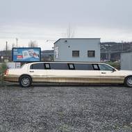 Pro mladého čínského fotografa Yutonga Xie, který do 4. dubna vystavuje v pražské Galerii Fotografic, je česká krajina zároveň známá i vzdálená.