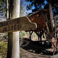 Turisté mohou přenocovat v domku jménem Rozhledna nebo dvou treehousech.