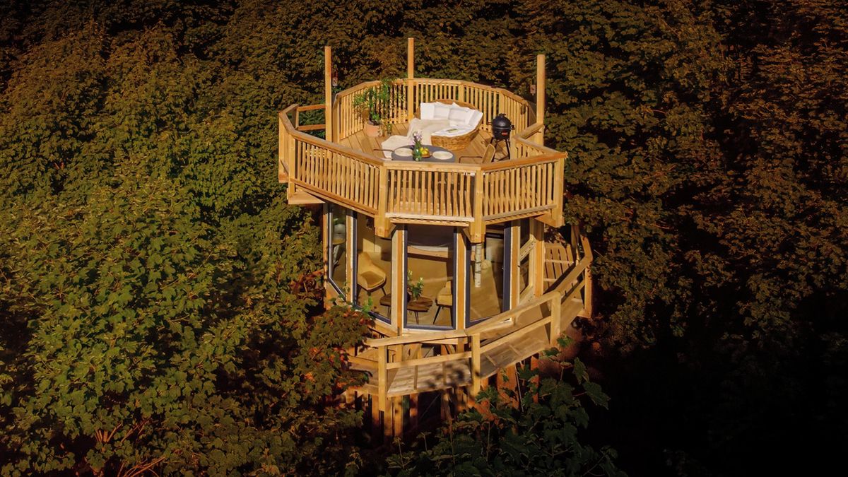 Domky v lese, se svíčkami. Stát dělá reklamu stavbám postaveným načerno