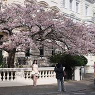 Slavná londýnská čtvrť Notting Hill. (22. března)