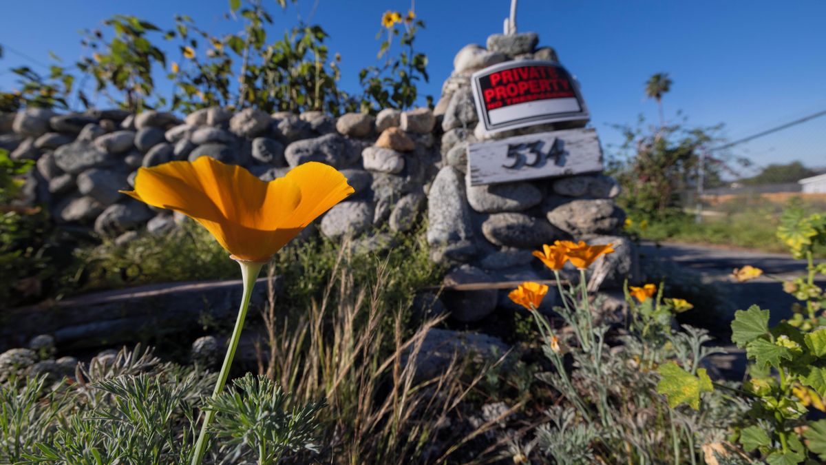 Fotky: Loni město lehlo popelem, novou naději mají lidem přinést vlčí máky