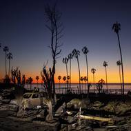 Zatímco úřady hlásily 31 přímých obětí, studie v oblasti veřejného zdraví odhadují 440 nadměrných úmrtí souvisejících s toxickým kouřem a narušenou lékařskou péčí. Lidé s nižšími příjmy čelili poté vysídlení, zatímco bohatší komunity využívaly své soukromé zdroje k obnově. (Západ slunce v Los Angeles, 14. ledna 2025.)