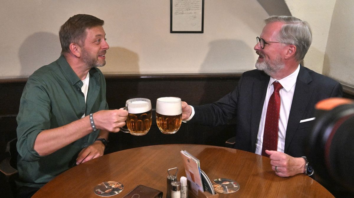 Fialovi vadí roztříštěná opozice. Jeho vize v ODS naráží, jinde má podporu