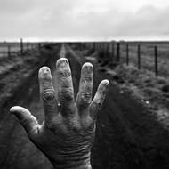 V kategorii Dlouhotrvající projekt zvítězil Pablo E. Piovano-Manuel Rivera (Ortiz Foundation, Philip Jones Griffiths Foundation, Lawen.doc) za svůj dokument o pěstování sóji v Argentině. (Bývalý zemědělský pracovník Alfredo Cerán ukazuje své spálené nehty. Po letech míchání chemických přípravků bez odpovídající ochrany u něj vznikla nealkoholická cirhóza jater. Muž musel podstoupit transplantaci. Córdoba, Argentina, 23. září 2015.)