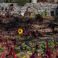 „Je to jako nový začátek,“ dodala 77letá bývalá herečka, která přišla při požáru o dům a nyní se pro pojišťovnu snaží sestavit podrobný seznam ztraceného majetku.