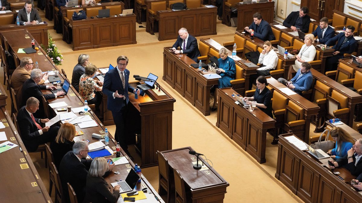 Sněmovna podpořila rozšíření úpravy trestného činu neplacení výživného