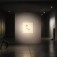 Ukazuje na ní hlavně práce na papíře: velkoformátové kresebné perforace, to znamená proděravění, a frotáže neboli otisk reliéfu.