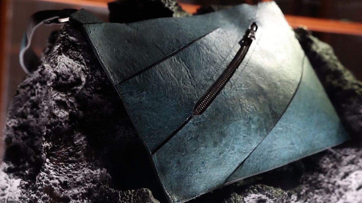 Kabelka z T-Rexe je k mání. „Je to zajímavá technologie,“ říká český vědec