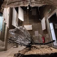 V Gočárově galerii zároveň začaly také další výstavy. Na jedné z nich vyšívané textilie Zlaty Lamrové doplňují šperky jejího muže Hanuše Lamra.