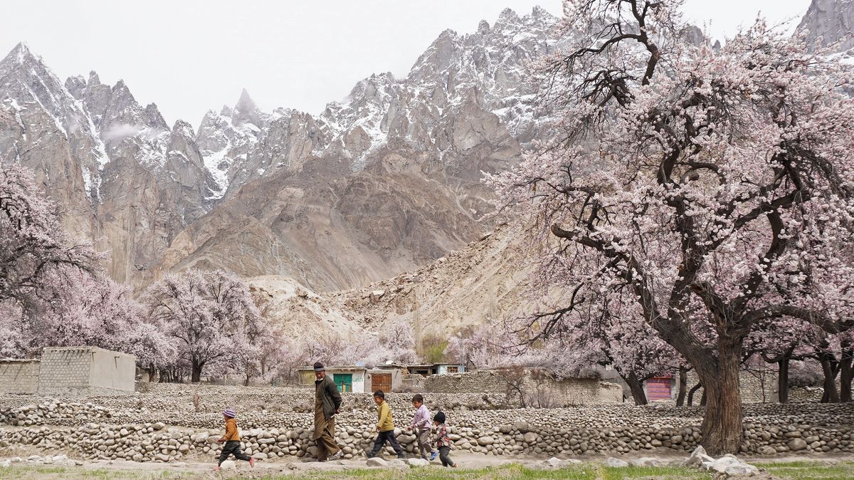 Fotky: Od Tokia po Washington. Takhle se jaro přihlásilo o slovo