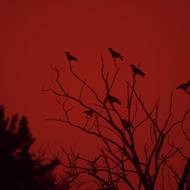 Bouřková fronta a silný vítr, které už třetí den sužují Řecko, si ve čtvrtek nedaleko Athén vyžádaly jednu oběť. Způsobily také lokální záplavy a narušily dopravu, napsala agentura AFP.