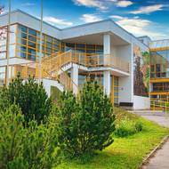 Domov Nová slunečnice