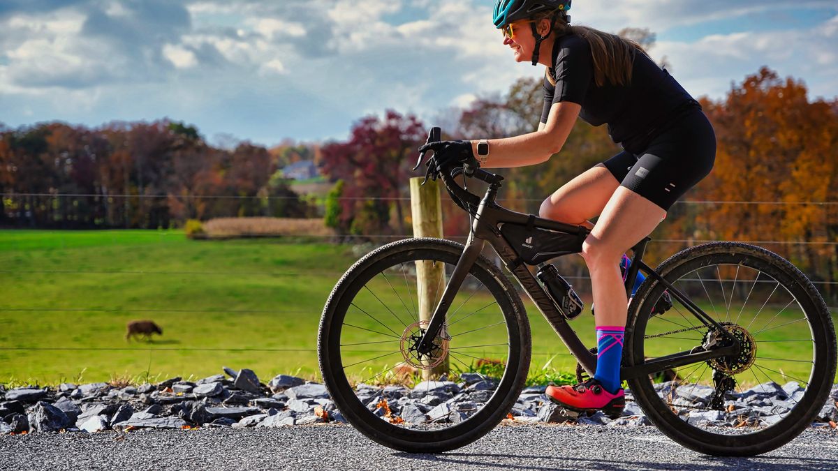 Češi jako milovníci kol. Za své miláčky klidně platí horentní sumy