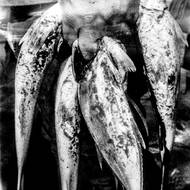 Rodríguezův projekt dokumentuje obrovské náklady těchto změn v lidském měřítku: od rychlé eroze pobřeží v Tabascu, kde hladina moře stoupá třikrát rychleji, než je globální průměr, až po systémový nedostatek vody v Monterrey a ve státě Mexiko, kde dostupnost obnovitelných vodních zdrojů od roku 1950 klesla o 81 %. (Část Enriqueho úlovku. Las Barrancas, Veracruz, 12. března 2025.)