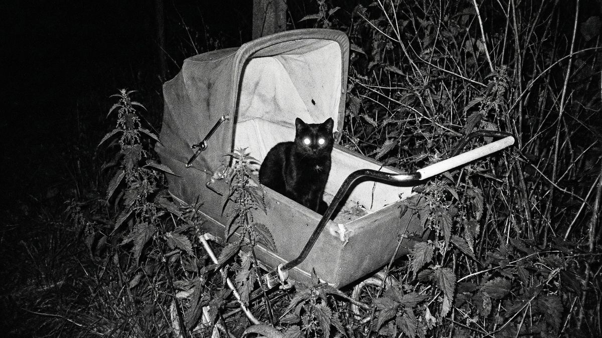 V Kutné Hoře vystavuje umělec samouk. Na sítích ho sleduje čtvrt milionu lidí