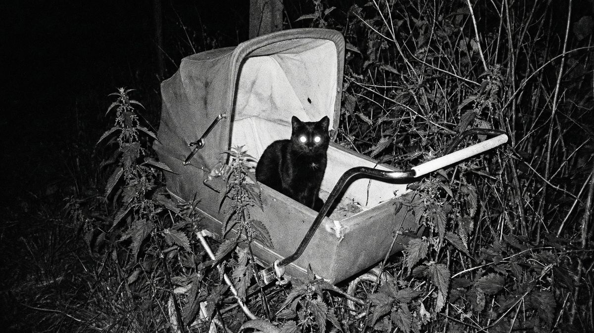 V Kutné Hoře vystavuje umělec samouk. Na sítích ho sleduje čtvrt milionu lidí