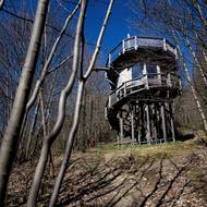 Tři až pět tisíc stojí noc v dřevěném domku, který v lese stojí nelegálně.