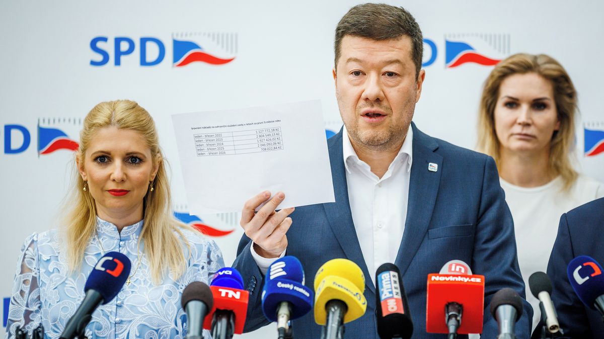 SPD se inspiruje v Německu. Na kampaň si najala odborníky AfD