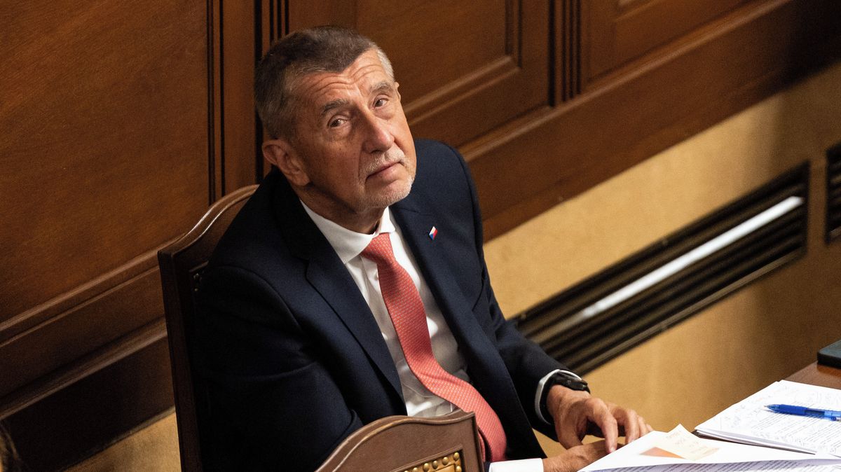 Politolog k Babišově výroku: Kdo dělá pragmatickou politiku bez hodnot, je hlupák