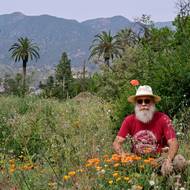 Jeho pozemek však nyní září jemnými oranžovými květy – kalifornskými máky, které zasel po celém spáleném městě Altadena jako symbol naděje.