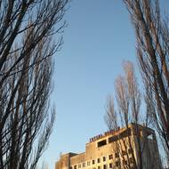 Celé město je už prorostlé vzrostlými stromy. 