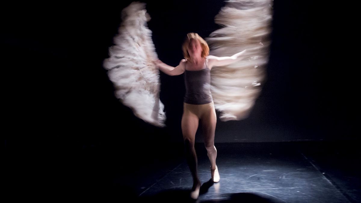 Divadlo dostalo od ministerstva méně peněz, ruší proto festival