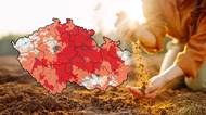 Farmáře zaskočilo spalující vedro