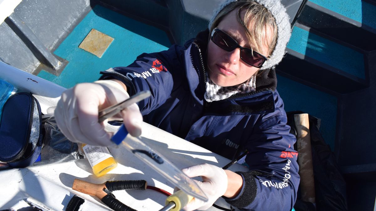 Uvázlého keporkaka asi doběhla zvídavost. Čas zvážit eutanázii, míní vědkyně