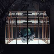 Kabelka z kůže Tyrannosaura rexe od The Organoid Company a Lab-Grown Leather Ltd.