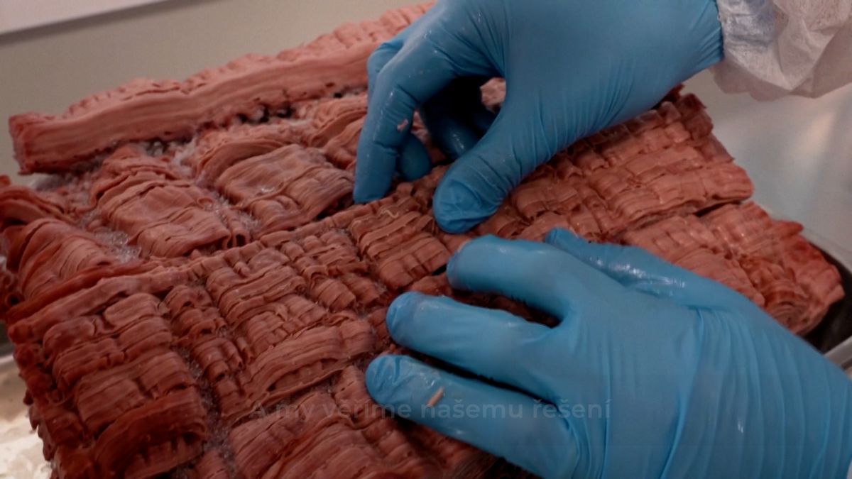 Maso zdražuje a vegetariánské náhražky nechutnají. Na světě je hybridní maso