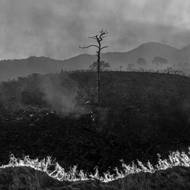 Na hoře Cerro de San Juan zuří lesní požár. Požáry, které se šířily v důsledku sucha, zničily více než 950 hektarů. (Tepic, Mexiko, 17. dubna 2023)