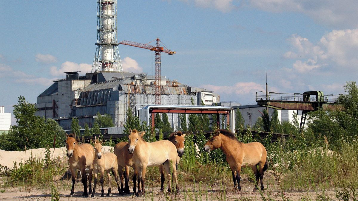 Černobyl očima českého fotografa: Jako by tam lidé byli jen na prázdninách