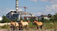 Černobyl očima českého fotografa: Jako by tam lidé byli jen na prázdninách