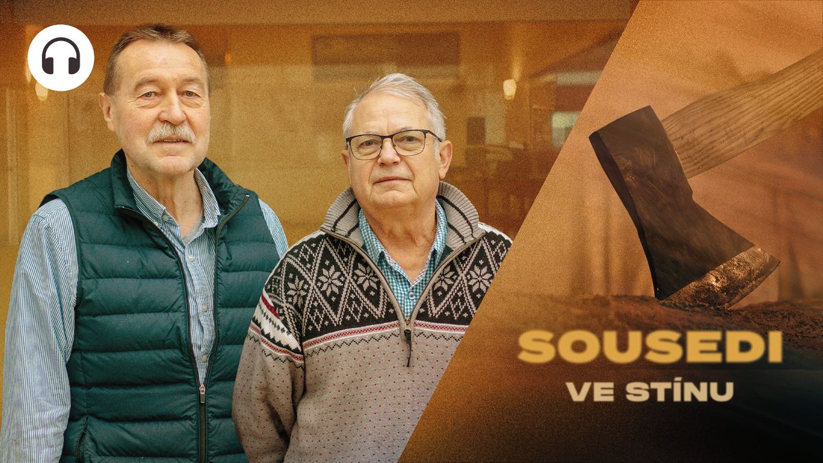 Případ se sekerou. Jednoho obvinili, druhý se přiznal. Spravedlnost nikde