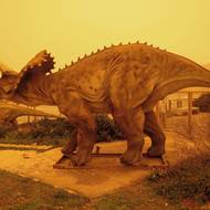 Fenomén vzniká při bouřích nad Saharou, při kterých se zvedne do vzduchu velké množství písku. Díky síle větru se pak písečný prach může dostat až do Evropy či okolních afrických států.