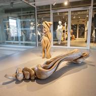 Orchidej od Stanislava Malého pak leží samostatně před proskleným vhledem do depozitáře plastik.